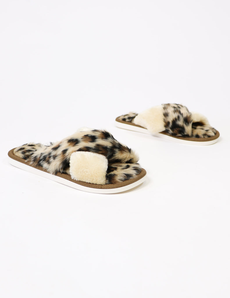 Cozy kitten slipper in tan leopard on white background