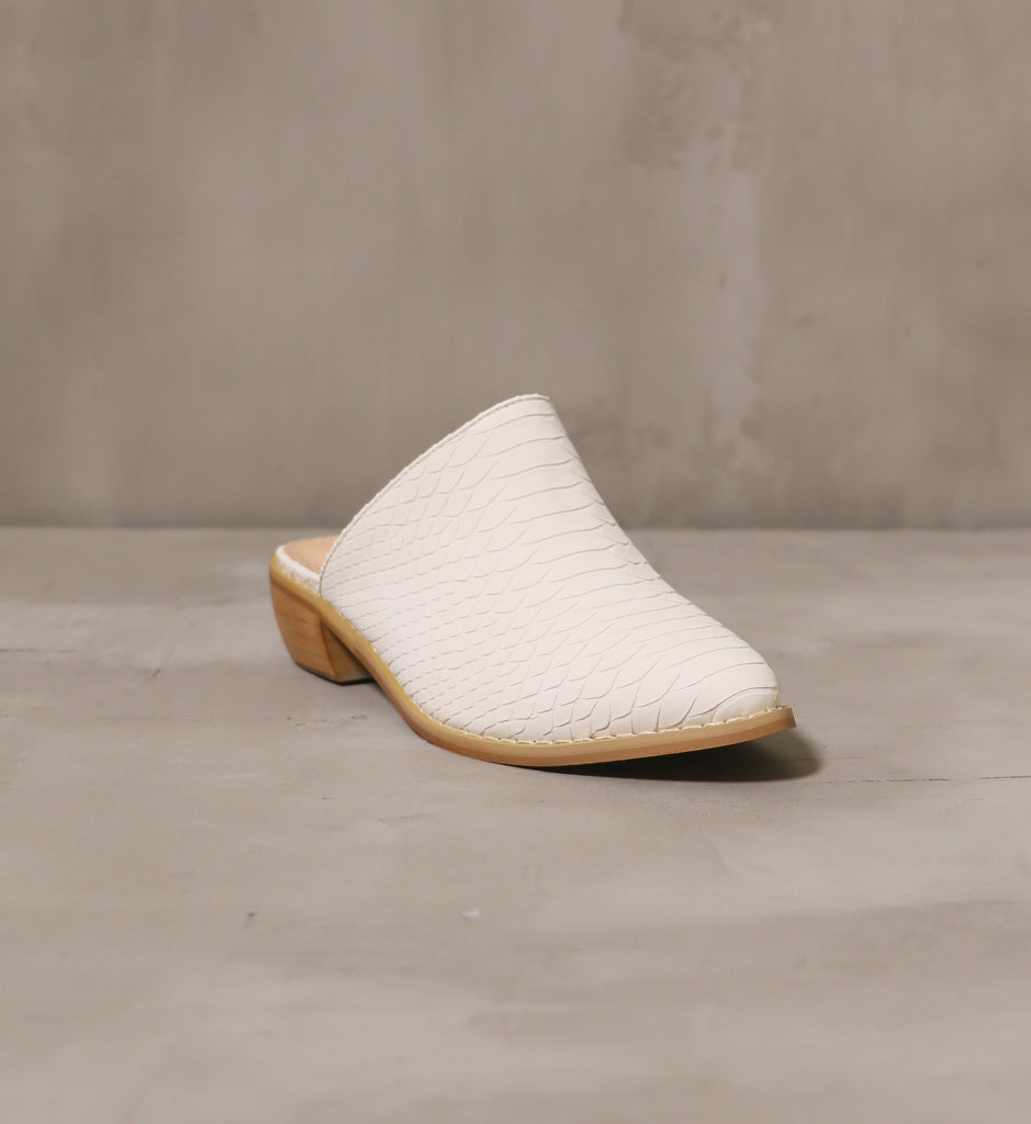 front of the closed almond toe mules with brown wood sole on cement background